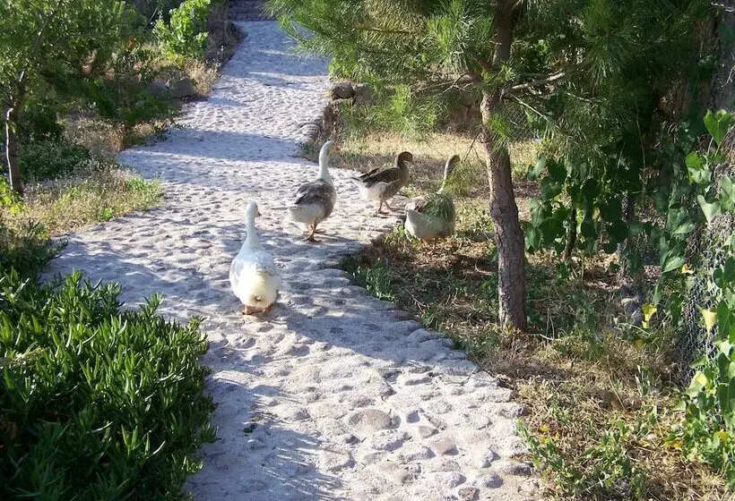 Отель Assos Terrace