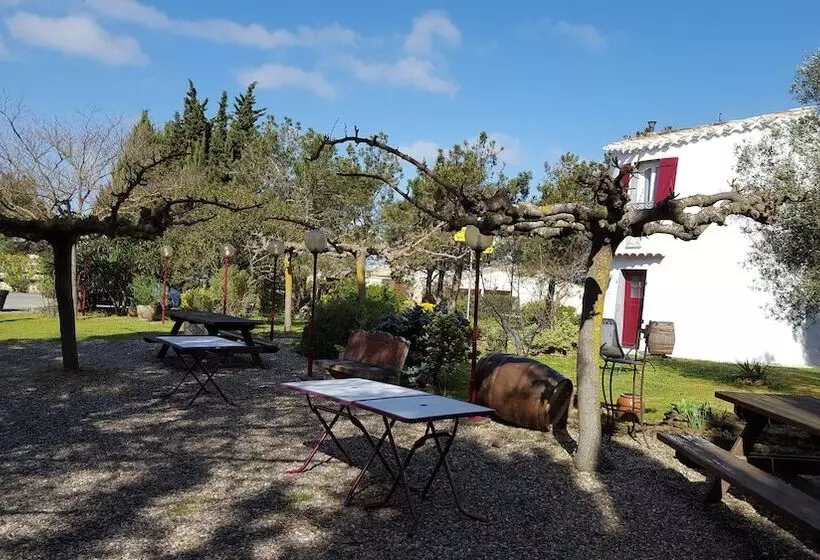 酒店 ô Fil De L ô