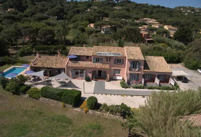 Hotel Hôtel De La Vierge Noire