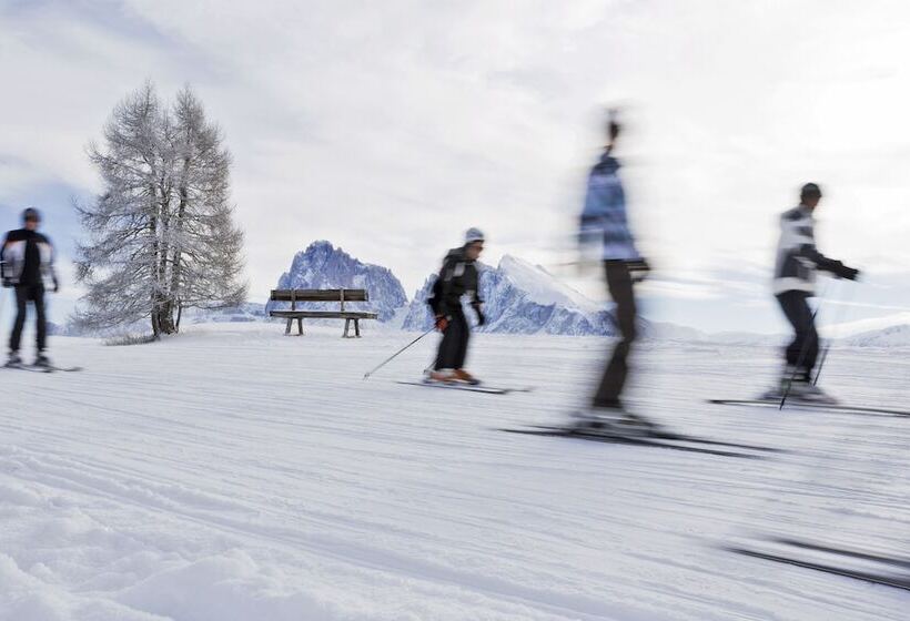 בית מלון כפרי Icaro