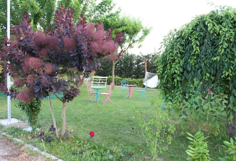 Отель Palazzo Boschi