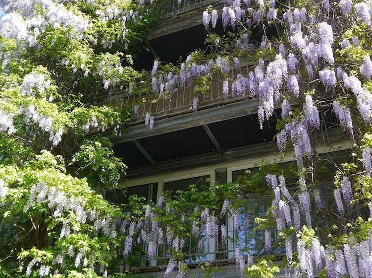 Szálloda Pallazzo Alfonso