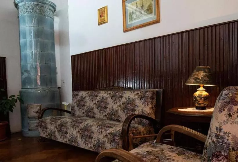 Отель Vila Retezat Sinaia