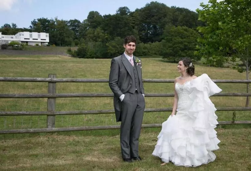 Отель The Manor