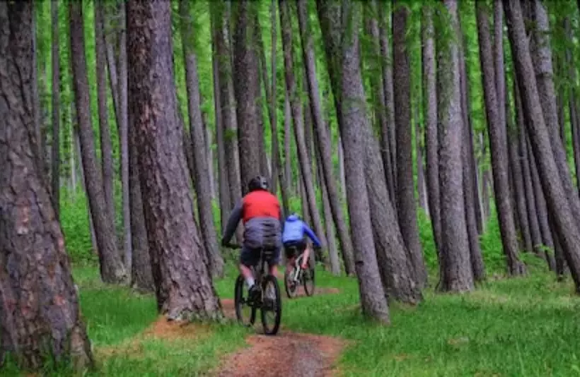 Hotel The St James Premium Accommodation