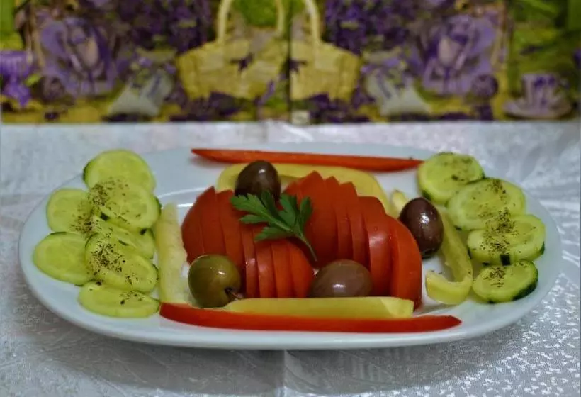 Отель Vila Retezat Sinaia