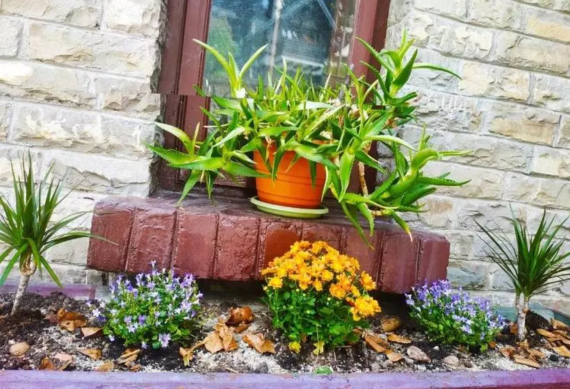 Отель Vila Retezat Sinaia