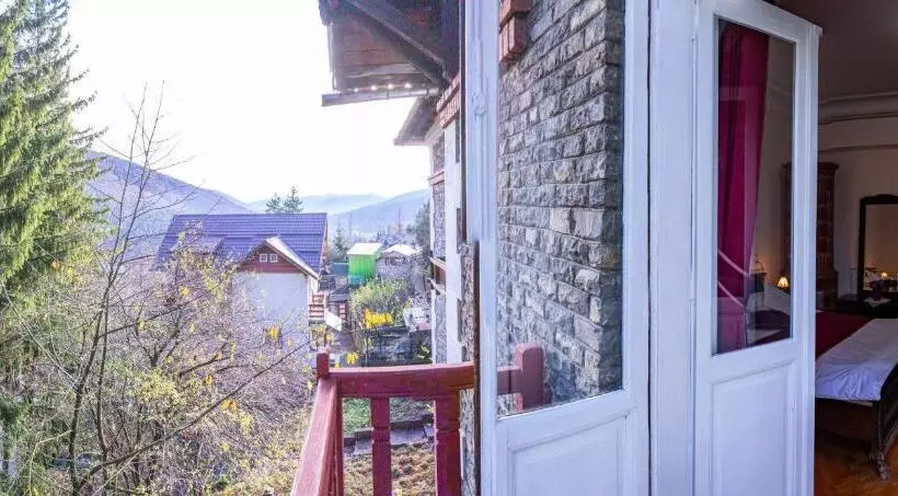 Отель Vila Retezat Sinaia