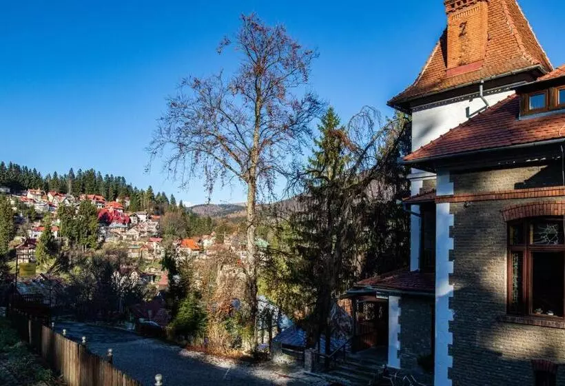Отель Vila Retezat Sinaia