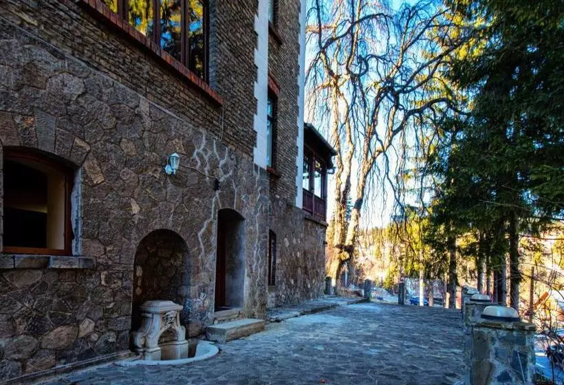 Отель Vila Retezat Sinaia