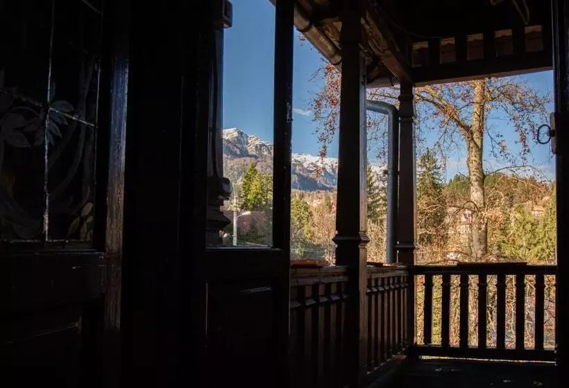Отель Vila Retezat Sinaia