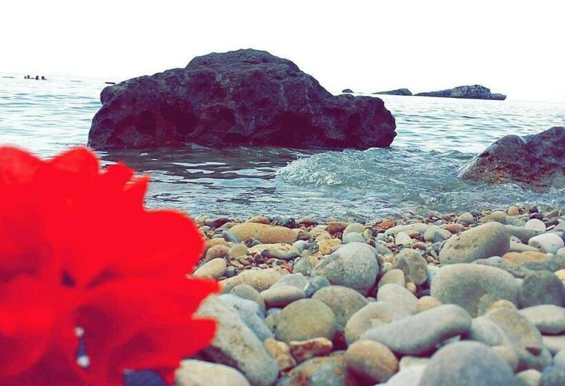 پانسیون Apartments Gazi