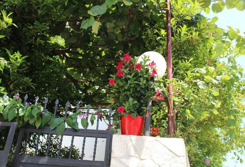 پانسیون Apartments Gazi