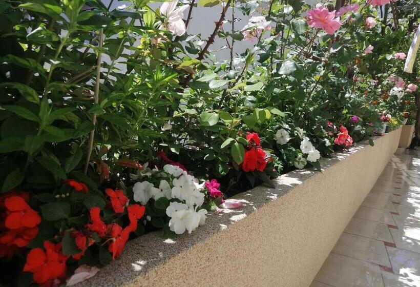 پانسیون Apartments Gazi