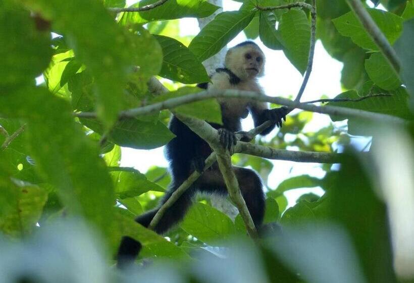 پانسیون Pachamama Jungle River Lodge Punta Uva