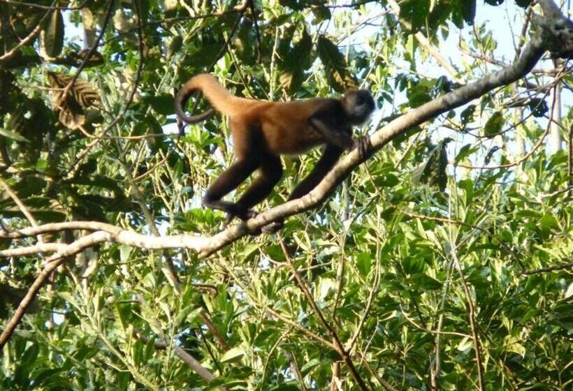 پانسیون Pachamama Jungle River Lodge Punta Uva