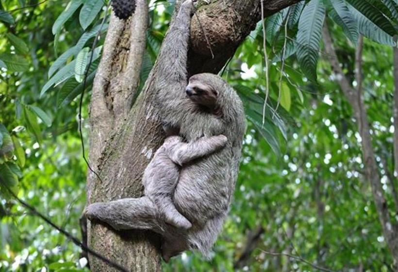 پانسیون Pachamama Jungle River Lodge Punta Uva