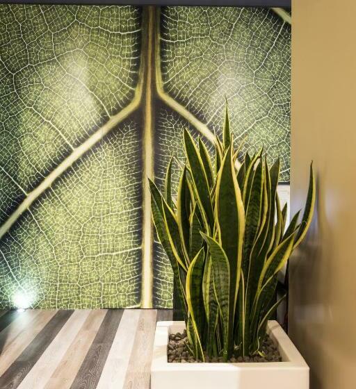 膳宿费 Serendipity Rooms