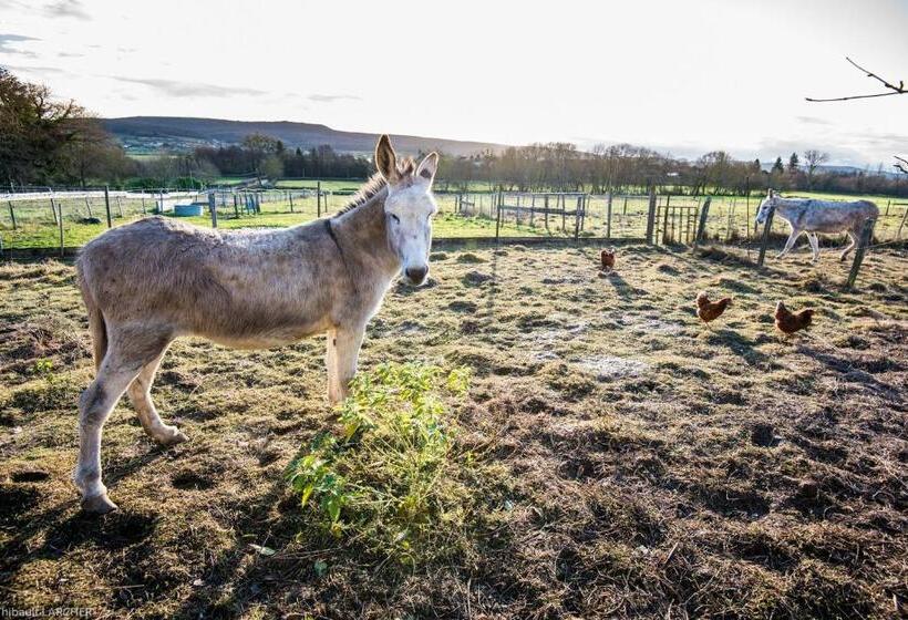 צימר Chez Camille