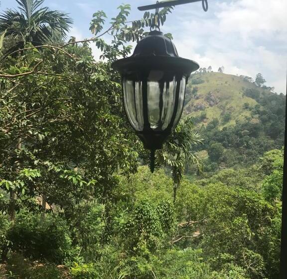 Bed and Breakfast Raveena Guest House