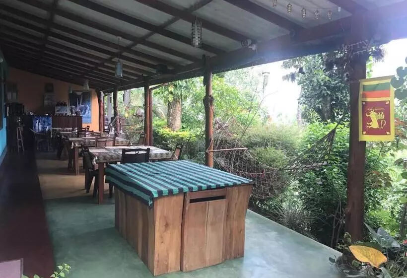 تختخواب و صبحانه Raveena Guest House