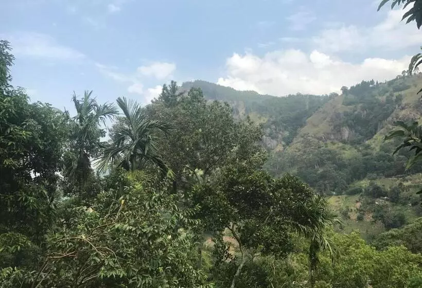 تختخواب و صبحانه Raveena Guest House