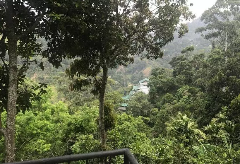 تختخواب و صبحانه Raveena Guest House