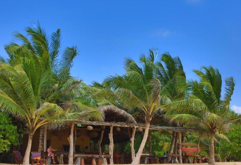 호텔 Mangrove Beach Chalets