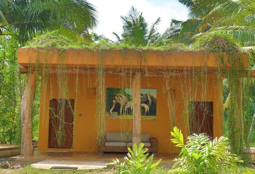 호텔 Mangrove Beach Chalets