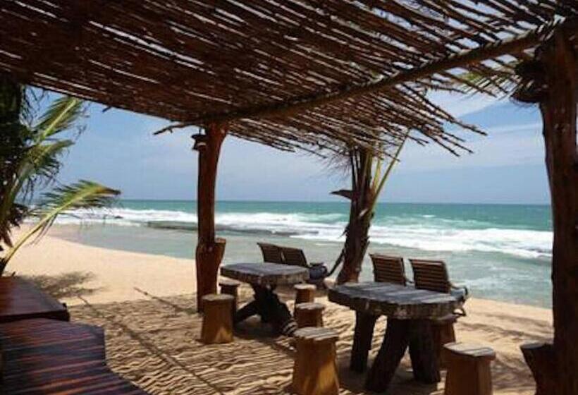 호텔 Mangrove Beach Chalets