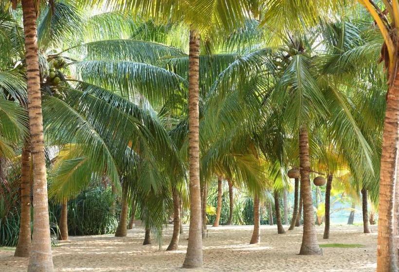 호텔 Mangrove Beach Chalets