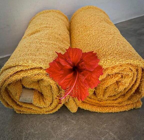 호텔 Mangrove Beach Chalets