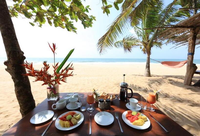 호텔 Mangrove Beach Chalets