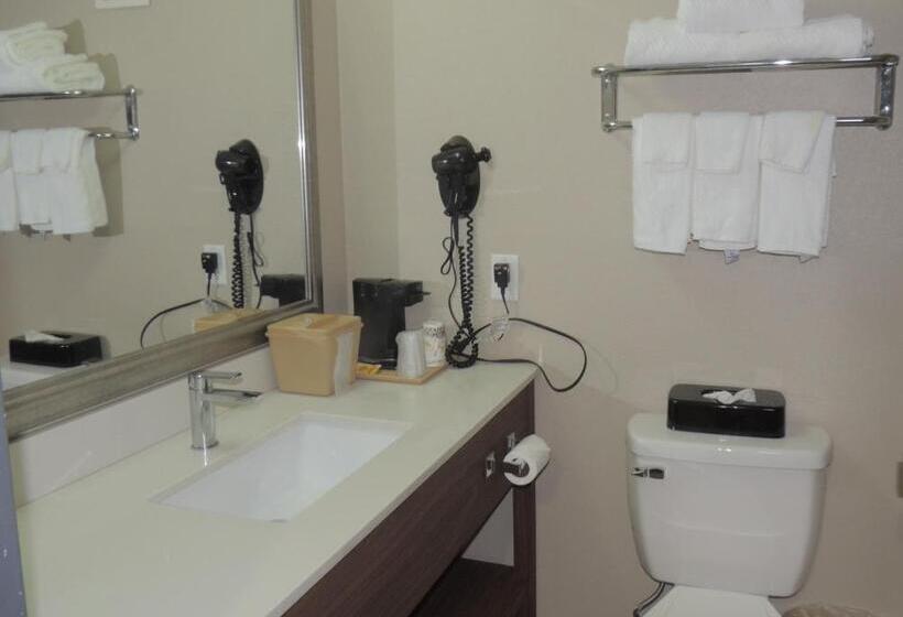 فندق Quality Inn