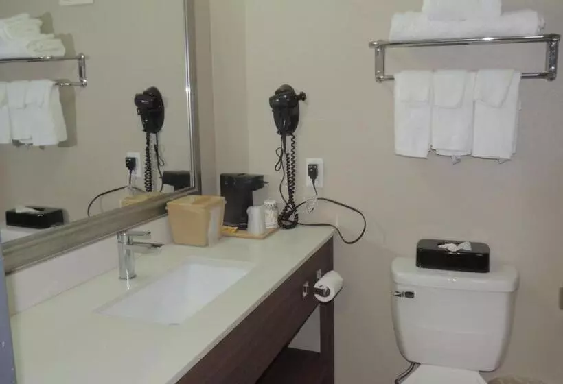 ホテル Quality Inn