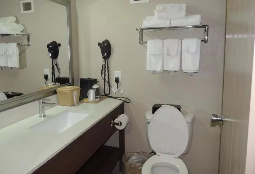 ホテル Quality Inn