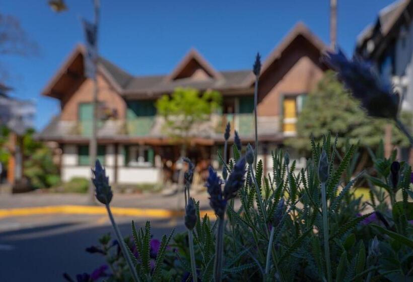 Отель Vovó Carolina