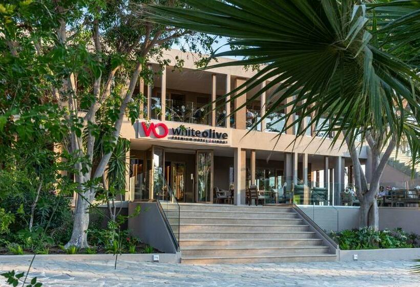 酒店 White Olive Premium Lindos