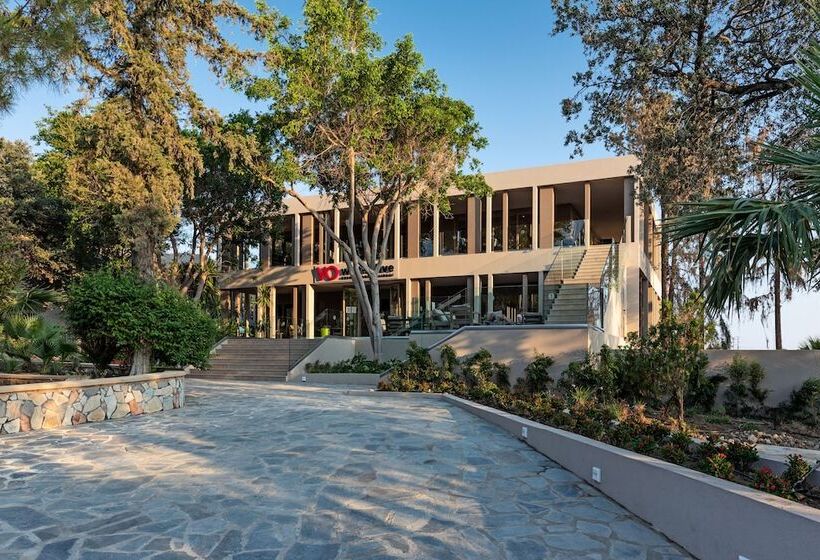 酒店 White Olive Premium Lindos