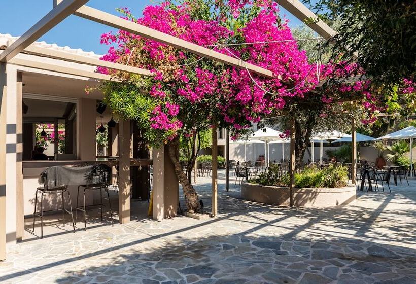 酒店 White Olive Premium Lindos