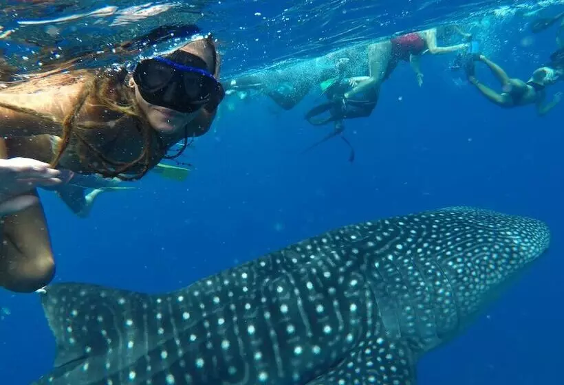 پانسیون Mala Maldives Dhangethi