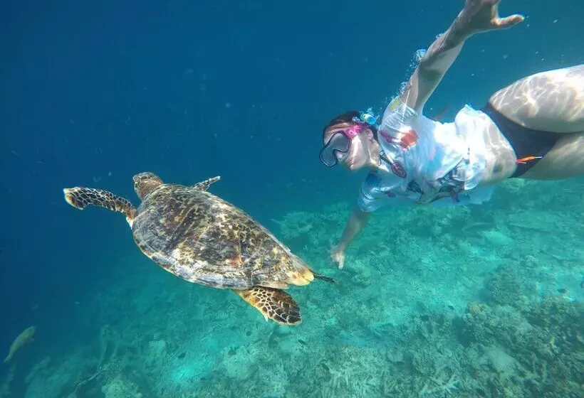 پانسیون Mala Maldives Dhangethi