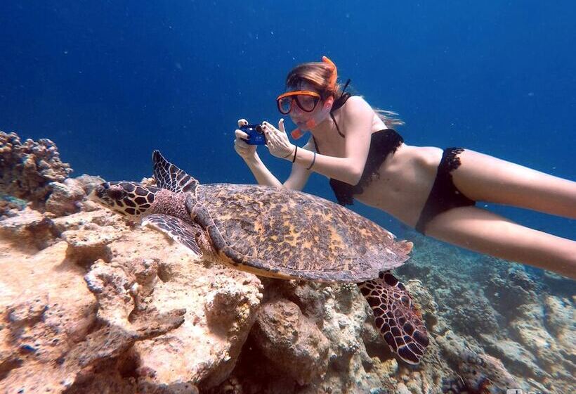 پانسیون Mala Maldives Dhangethi
