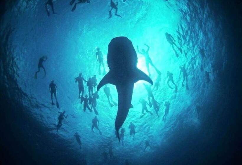 پانسیون Mala Maldives Dhangethi