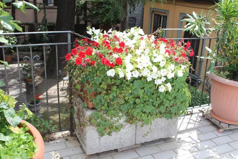 בית מלון כפרי Centrale Bellagio