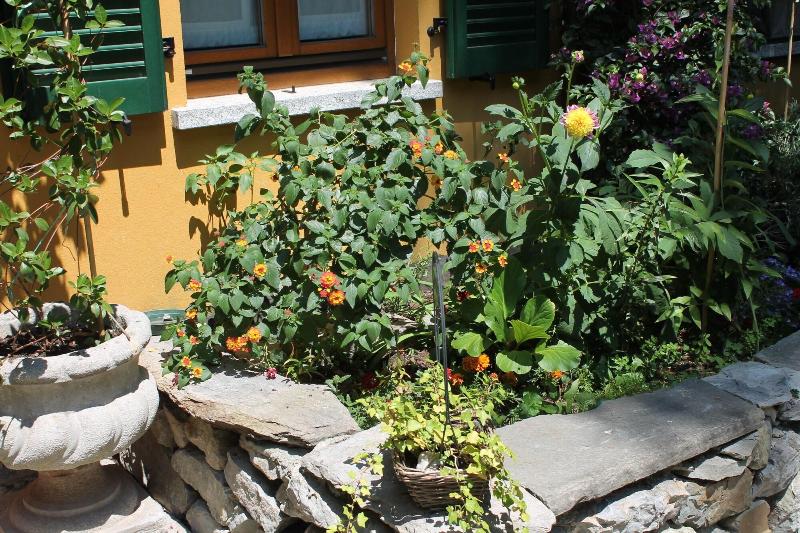 בית מלון כפרי Centrale Bellagio