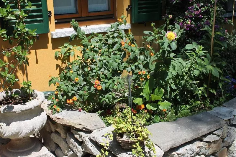 בית מלון כפרי Centrale Bellagio