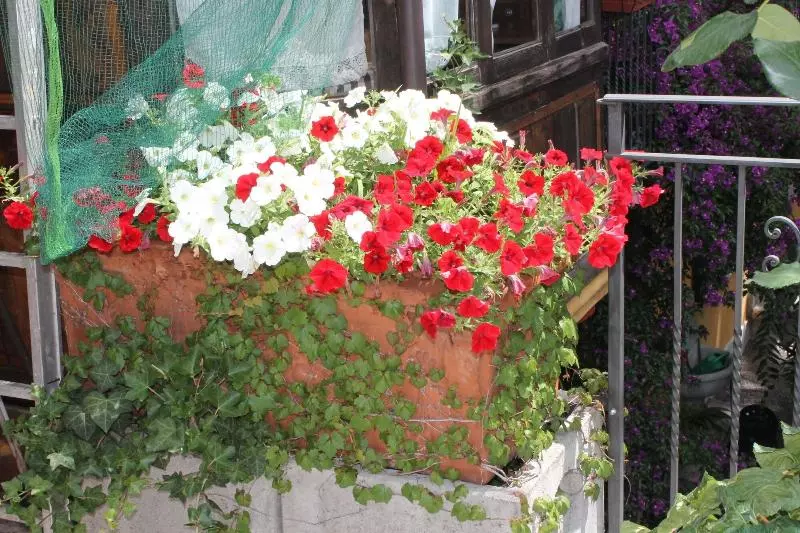 בית מלון כפרי Centrale Bellagio