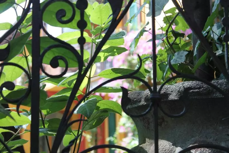 בית מלון כפרי Centrale Bellagio