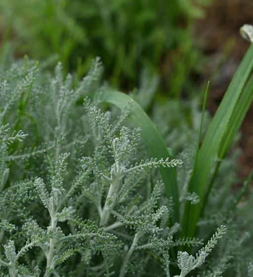 فندق Il Cervo, Spa & Wellness, Bike